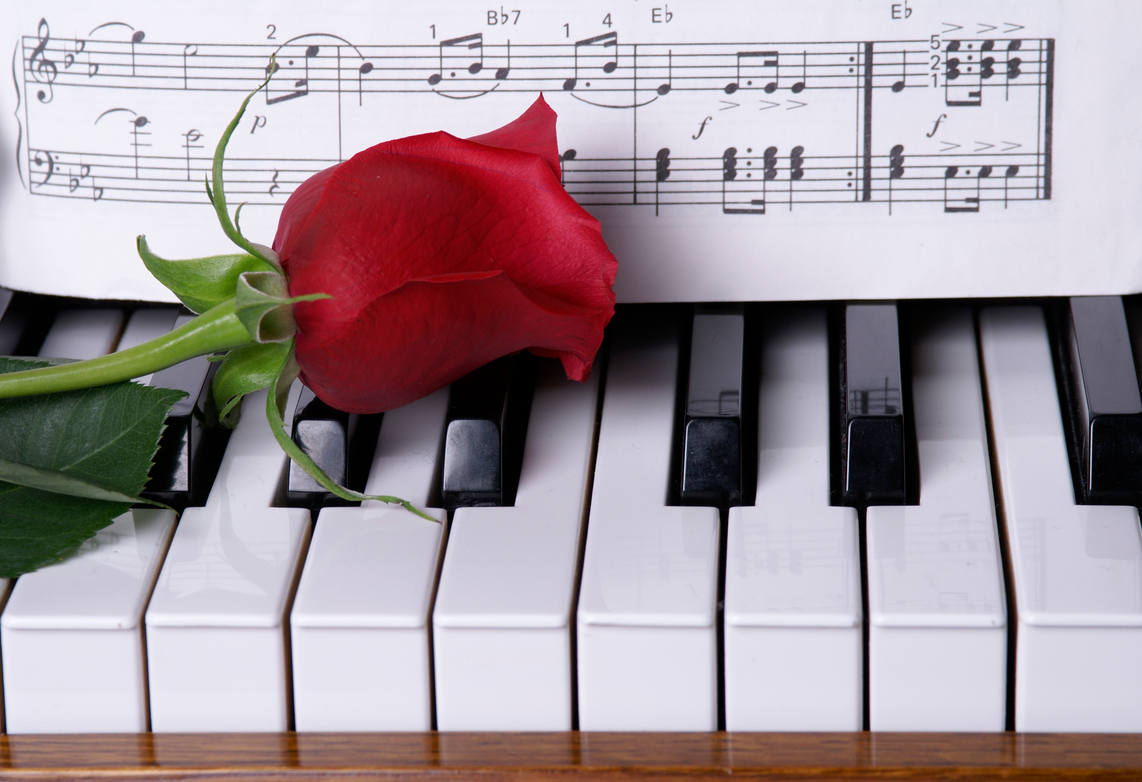 Piano with Red Rose
